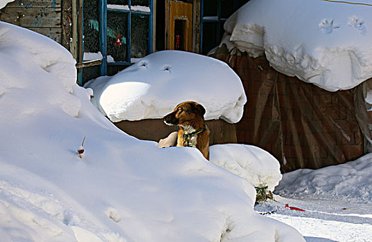 北国雪乡