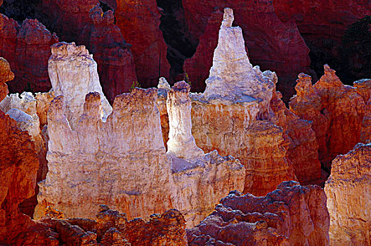 怪岩柱,日出,布莱斯峡谷国家公园,犹他,美国
