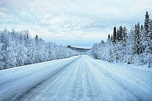 风景,积雪,公路,瑞典