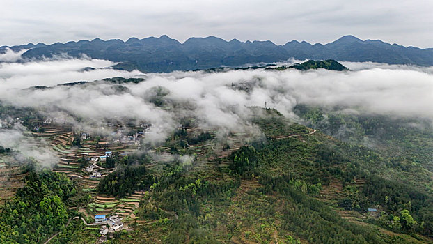 重庆酉阳,青山雾漫别样美