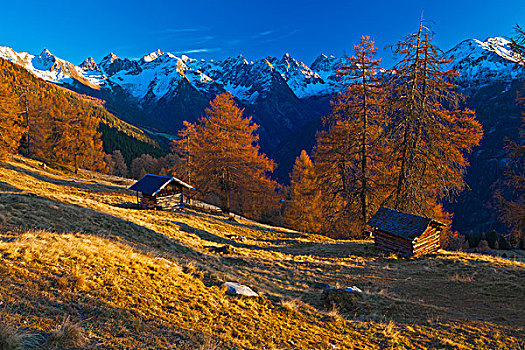 秋日风光,阿尔卑斯山,奥地利