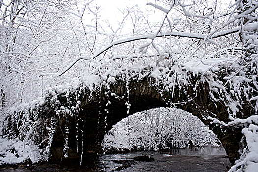 老,石头,桥,遗址,穿过,河,雪,遮盖,树
