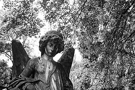 墓地,雕塑,天使