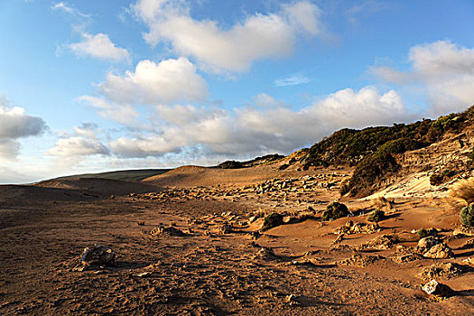 石头,海岸线,西澳大利亚州,澳大利亚
