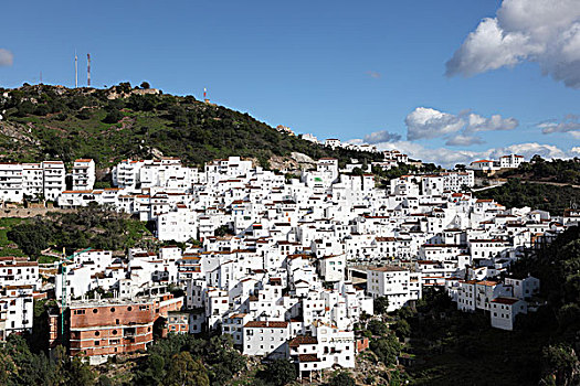 安达卢西亚,刷白,乡村,卡塞雷斯,南方,西班牙