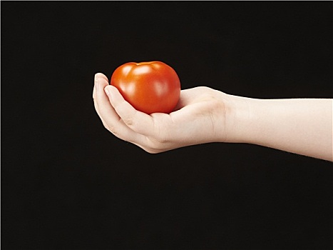 孩子,手,西红柿,手掌,面对,向上