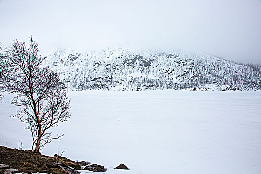 平和,积雪,风景,挪威