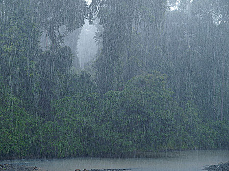 雨,河,婆罗洲,马来西亚
