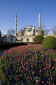 蓝色清真寺,名字,围绕,区域,建造,苏丹艾哈迈德清真寺,设计,伊斯坦布尔,土耳其