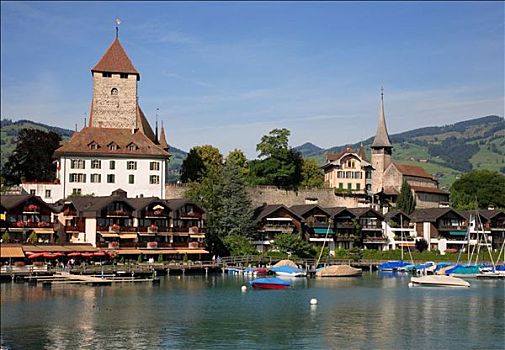 风景,湖,伯恩,瑞士