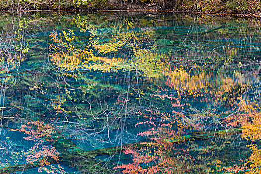 秋天,反射,湖,国家公园,四川