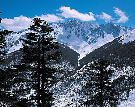 玉龙,积雪,山,丽江,云南,省