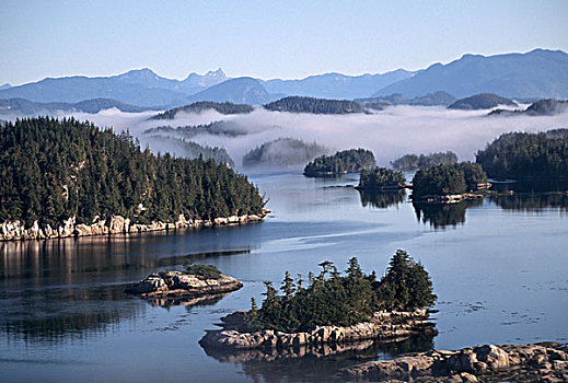 加拿大,不列颠哥伦比亚省,笔直,区域,俯视,岛屿,雾气