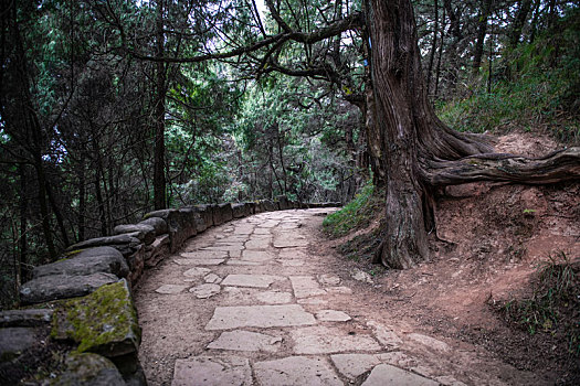 金牛道,古蜀道