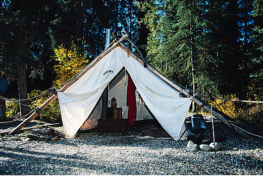 营地,树林,德纳里峰国家公园,阿拉斯加,美国