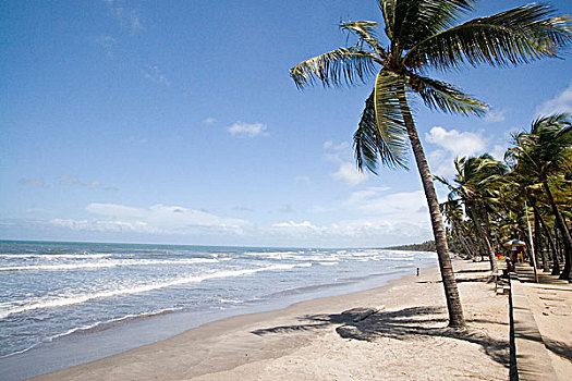 加勒比,特立尼达,海滩,东方,大西洋