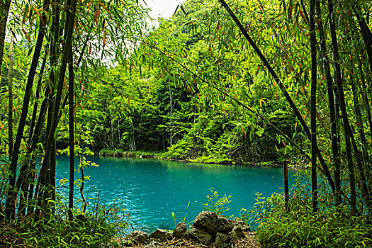 自燃山水