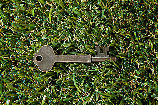 钥匙,草地