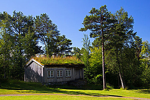 挪威,草皮,屋顶,建筑,博物馆