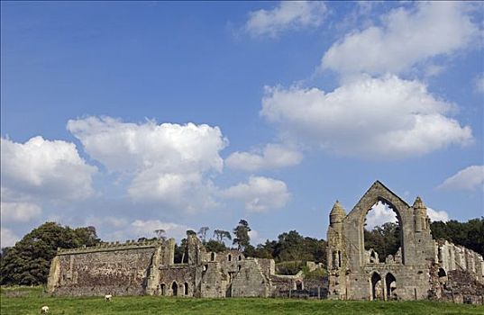 英格兰,什罗普郡,什鲁斯伯里,遗址,教堂,12世纪,靠近