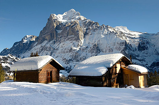 瑞士,木制屋舍,冬天,看,贝塔峰,山,阿尔卑斯山,欧洲