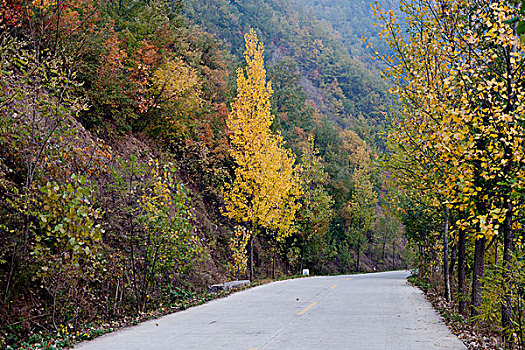 秋天乡村公路