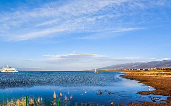 青海湖