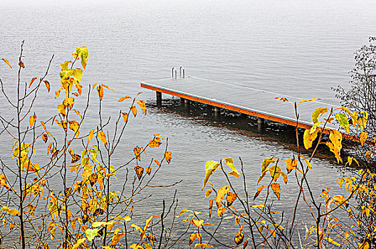 码头,雾状,白天,秋天,湖,爱达荷