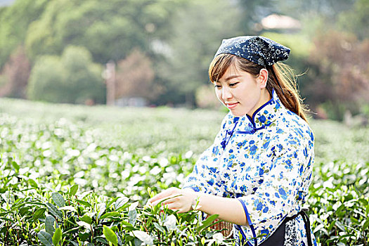 亚洲人,漂亮,女孩,种植园