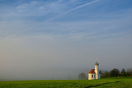 靠近,早晨,雾,上巴伐利亚,巴伐利亚,德国,欧洲