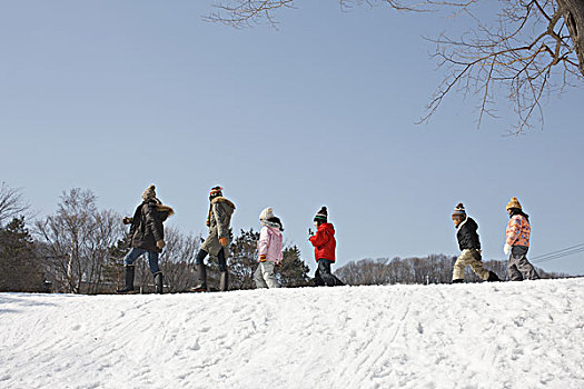 家庭,走,雪原