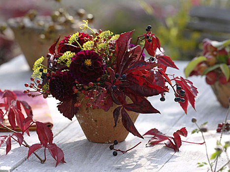 秋季花束,大丽花,茴香,茴香属,玫瑰