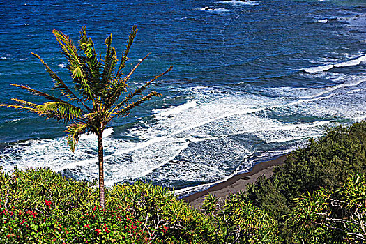 俯拍,海滩,山谷,暸望,夏威夷大岛,夏威夷,美国