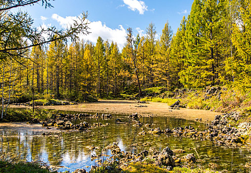 阿尔山秋景