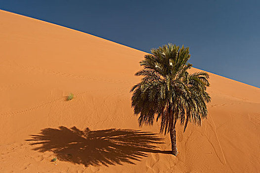 梅如卡,摩洛哥