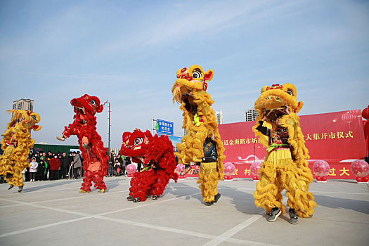 年货大集上醒狮欢腾,市民争相观看抚摸图个好彩头