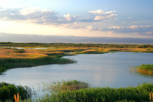 新疆艾比湖及其湿地