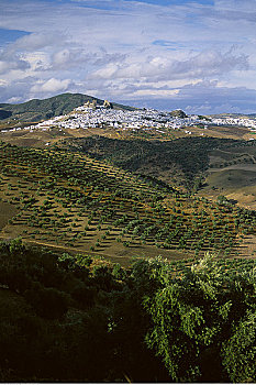 小镇,山,奥维拉,安达卢西亚,西班牙