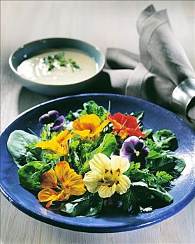 药草,花,沙拉,蓝色,盘子