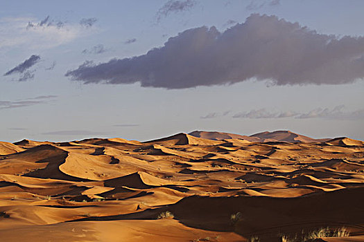 非洲,北非,摩洛哥,撒哈拉沙漠,梅如卡,却比沙丘