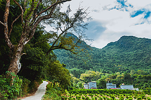 山岭风景