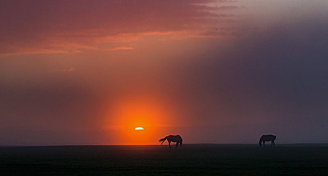 呼伦贝尔大草原的早晨