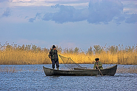 渔民,带来,丰收,鱼,早春,多瑙河三角洲,罗马尼亚,欧洲