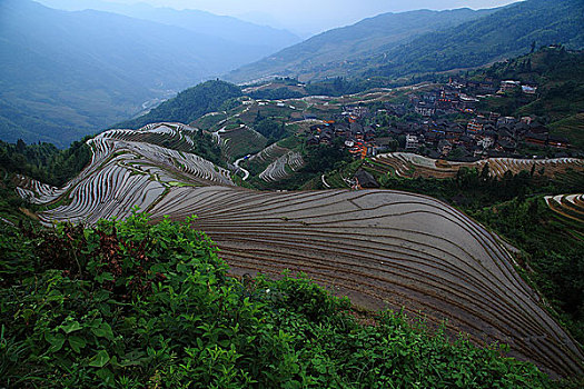 龙胜梯田