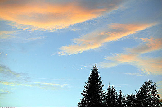 暮色天空,干草,湖,安大略省,加拿大