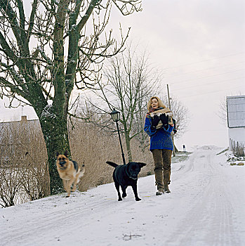 斯堪的纳维亚,女人,狗,雪地,瑞典