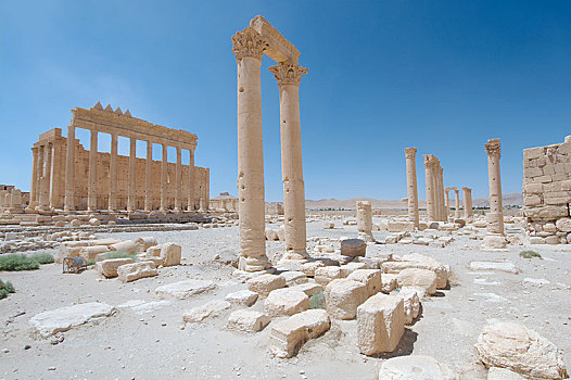庙宇,遗址,古城,帕尔迈拉,地区,叙利亚,亚洲
