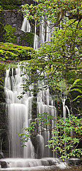 瀑布,奥塔哥,南岛,新西兰