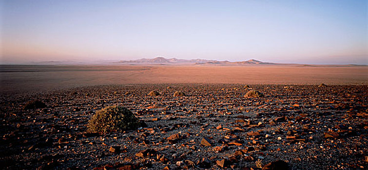沙漠,靠近,纳米布沙漠,纳米比亚