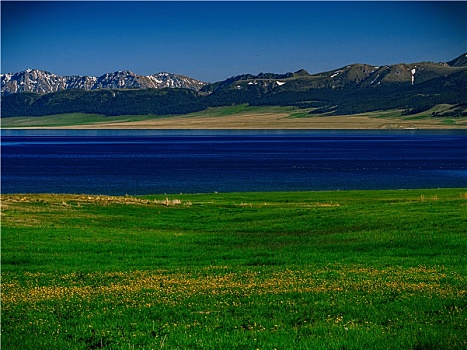 风景,中国,伊犁